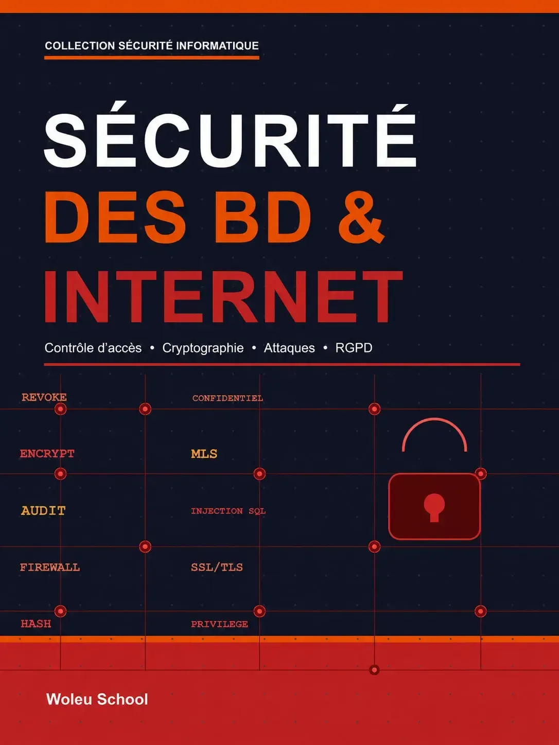 Sécurité des Bases de Données & Internet